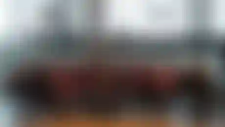 Celebrating the 2023-2025 graduates of the Sports Business MBA program