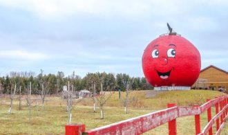The Big Apple