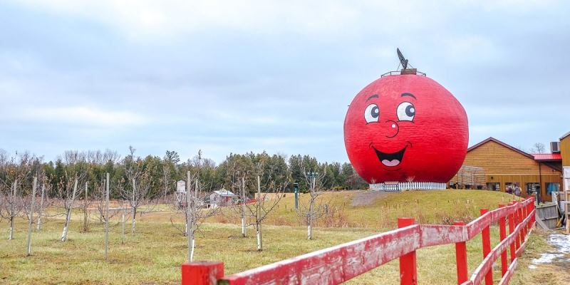 The Big Apple