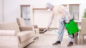 Deadly Diseases Caused by Common Pests At Home