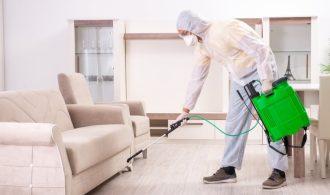 Deadly Diseases Caused by Common Pests At Home