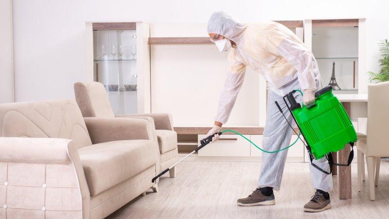 Deadly Diseases Caused by Common Pests At Home